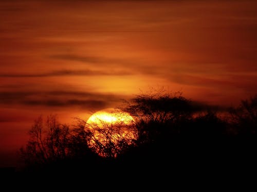 Základová fotografie zdarma na téma mraky, obloha, silueta