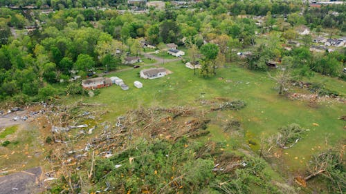 Drone view of uprooted trees heaped on green meadow in small village after massive storm