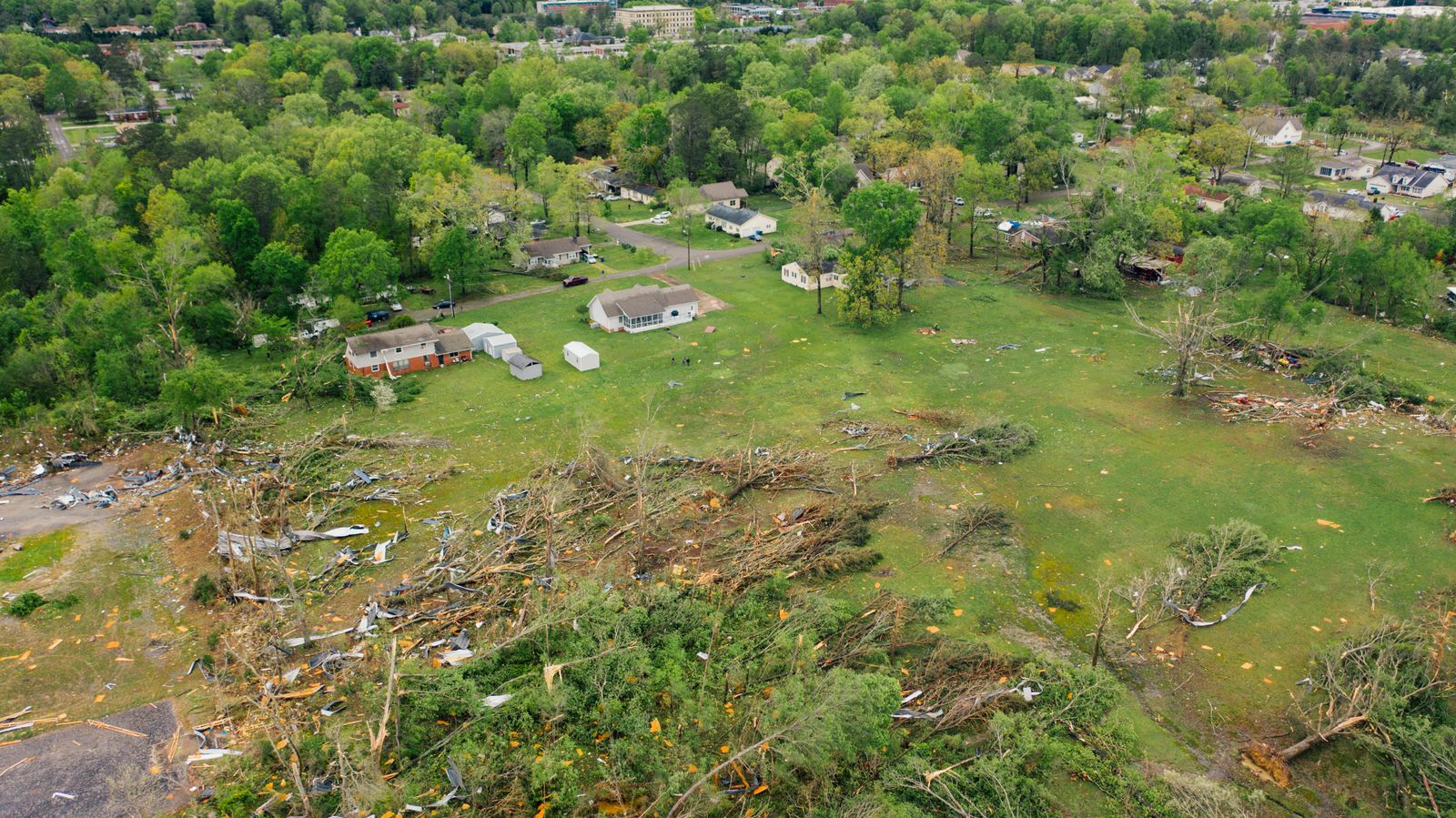 An aerial view of trees brought down across a neighborhood after a major storm.