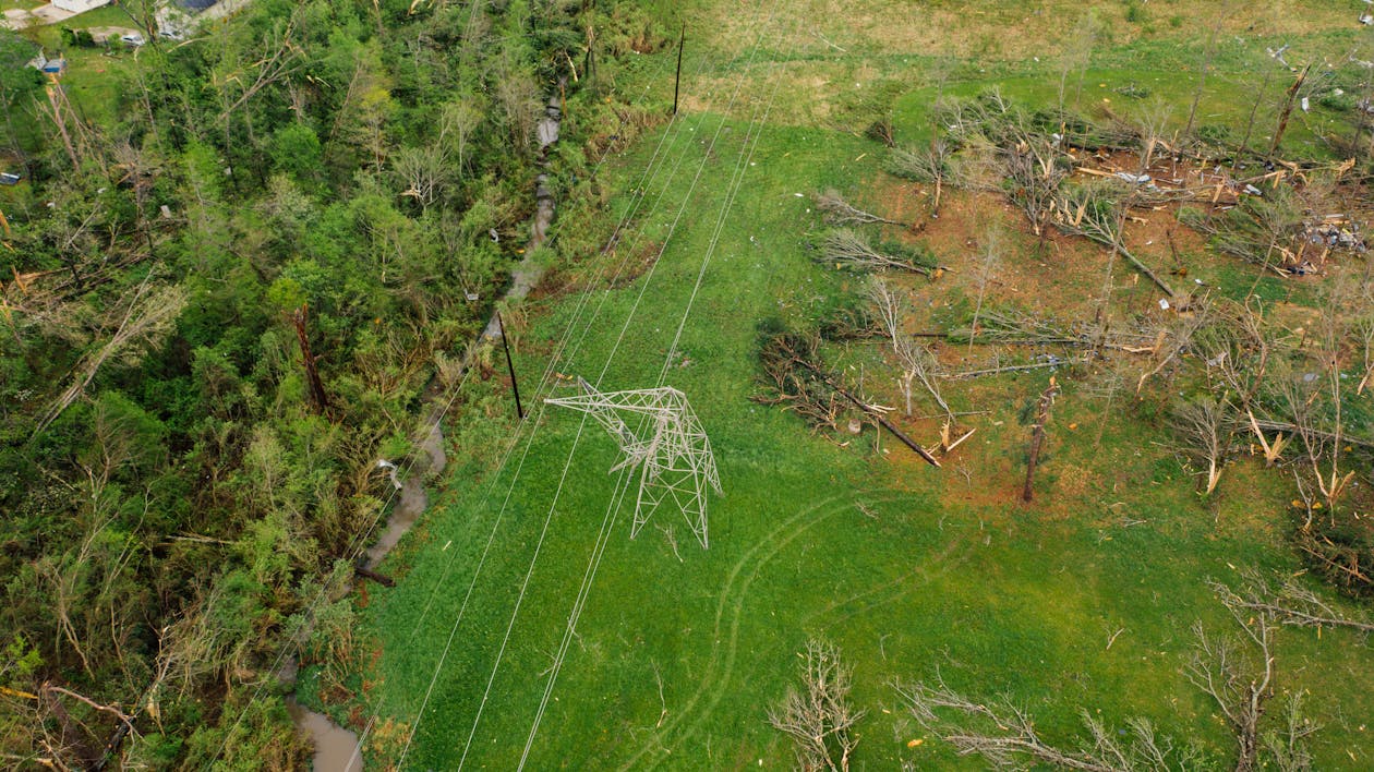 electrical poles and trees are uprooted in an open field.