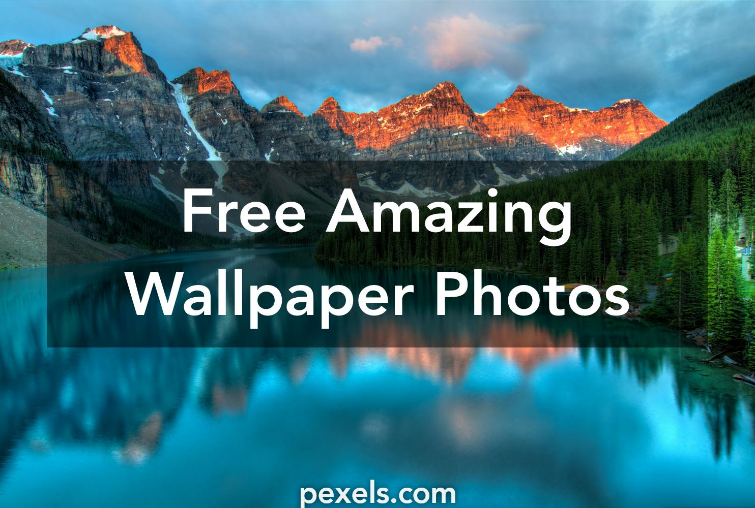 1000+ Amazing Amazing Wallpaper Photos · Pexels · Free Stock Photos