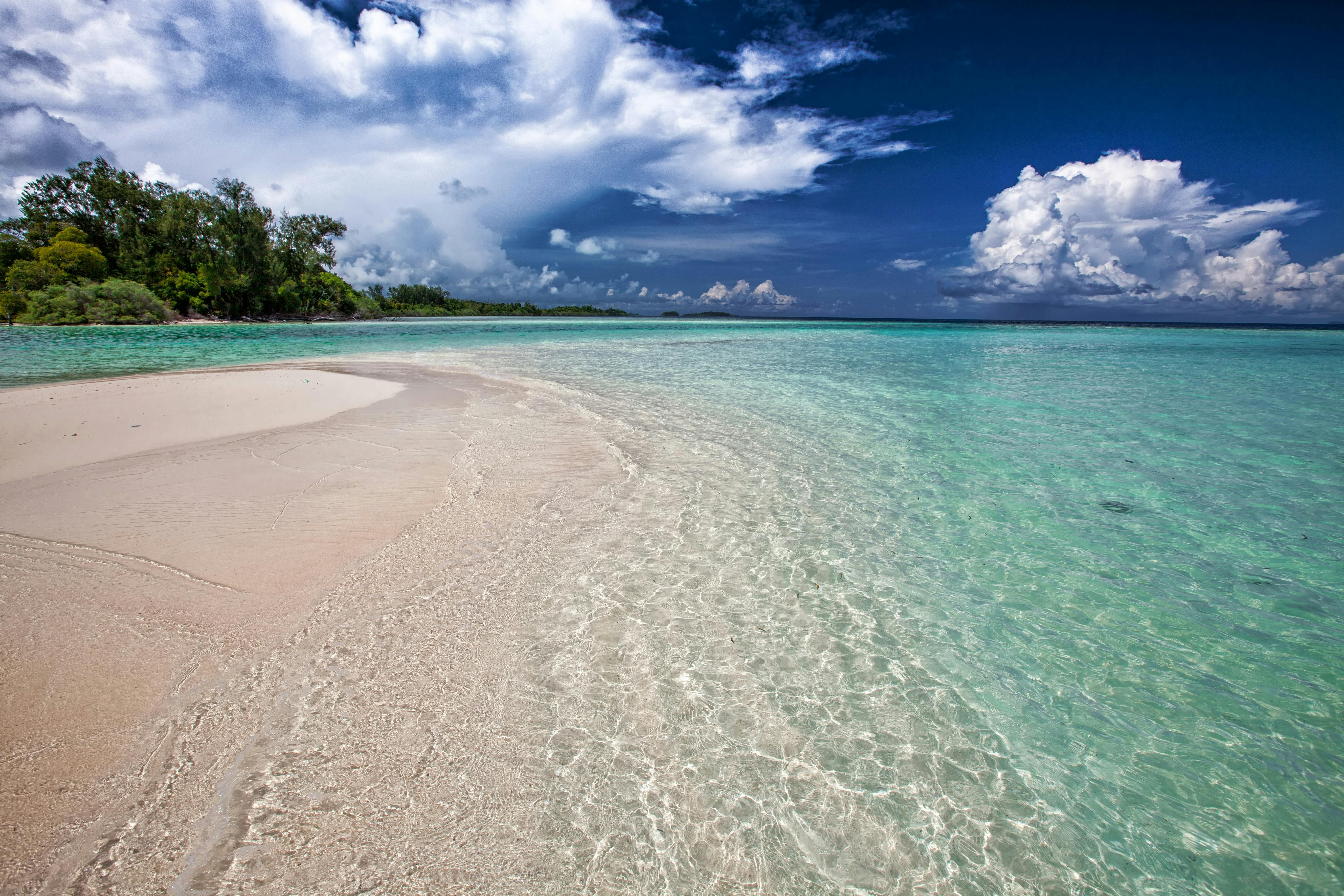 seashore near body of water