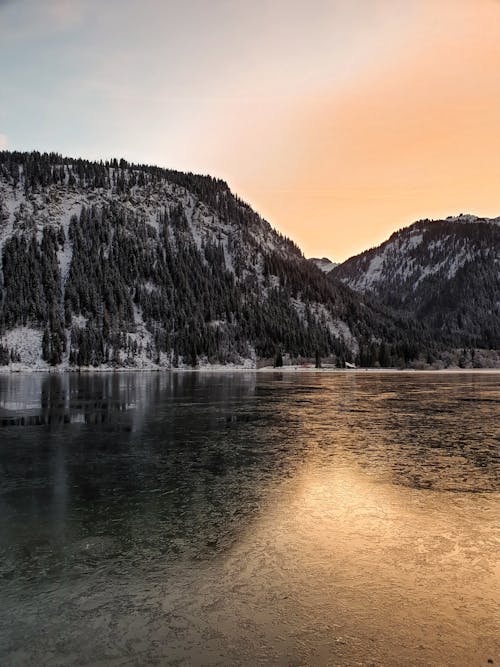 Kostenloses Stock Foto zu atemberaubend, aussicht, baum