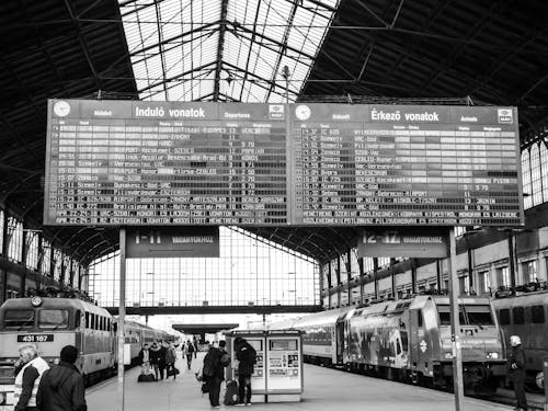 Foto d'estoc gratuïta de andana, blanc i negre, calendari