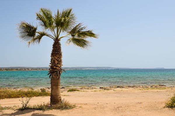 Paysages alpins suisses