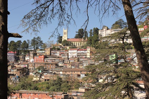 Foto stok gratis melihat, shimla