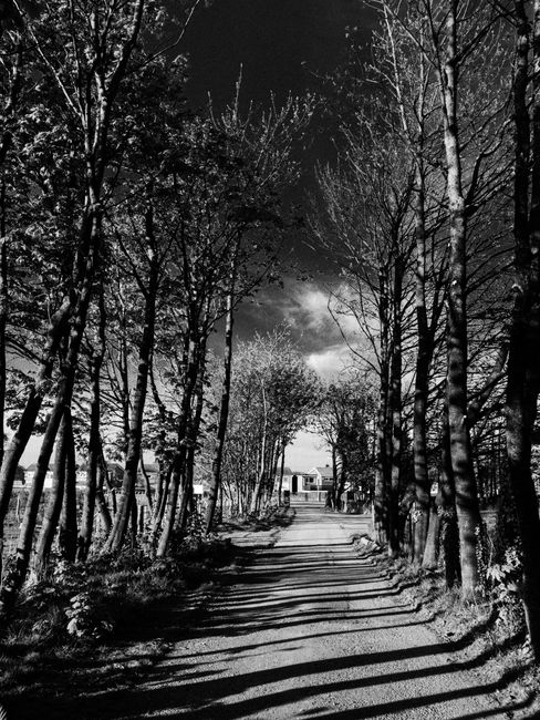<b>Dual Naming: A Path Towards Reconciliation</b> <b>Dual Naming: A Path Towards Reconciliation</b>