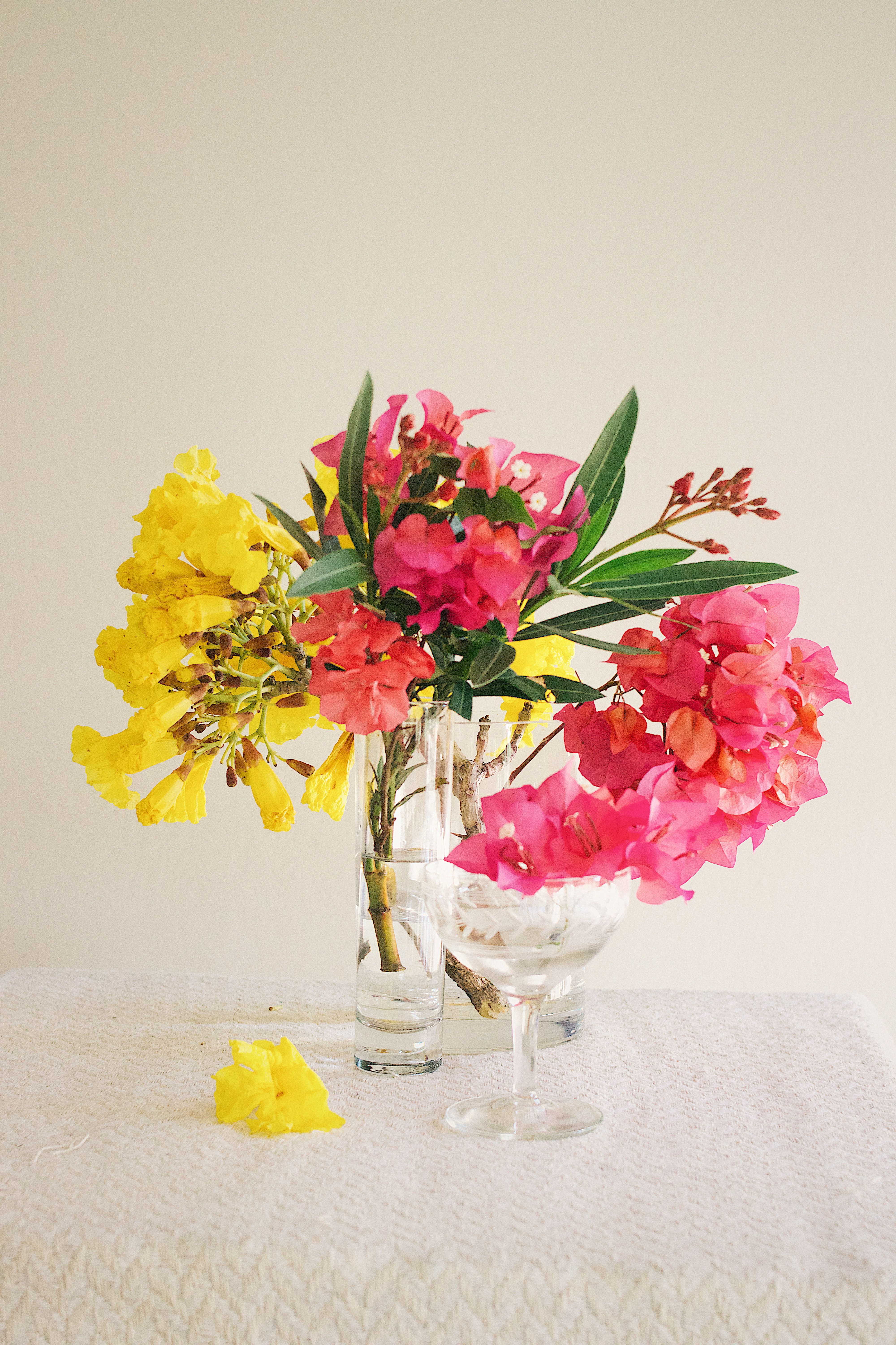 Flowers in Clear Glass Vase · Free Stock Photo
