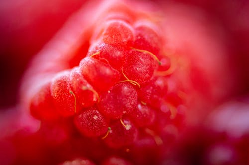 Free stock photo of a macro photo of raspberries, abstract, berry