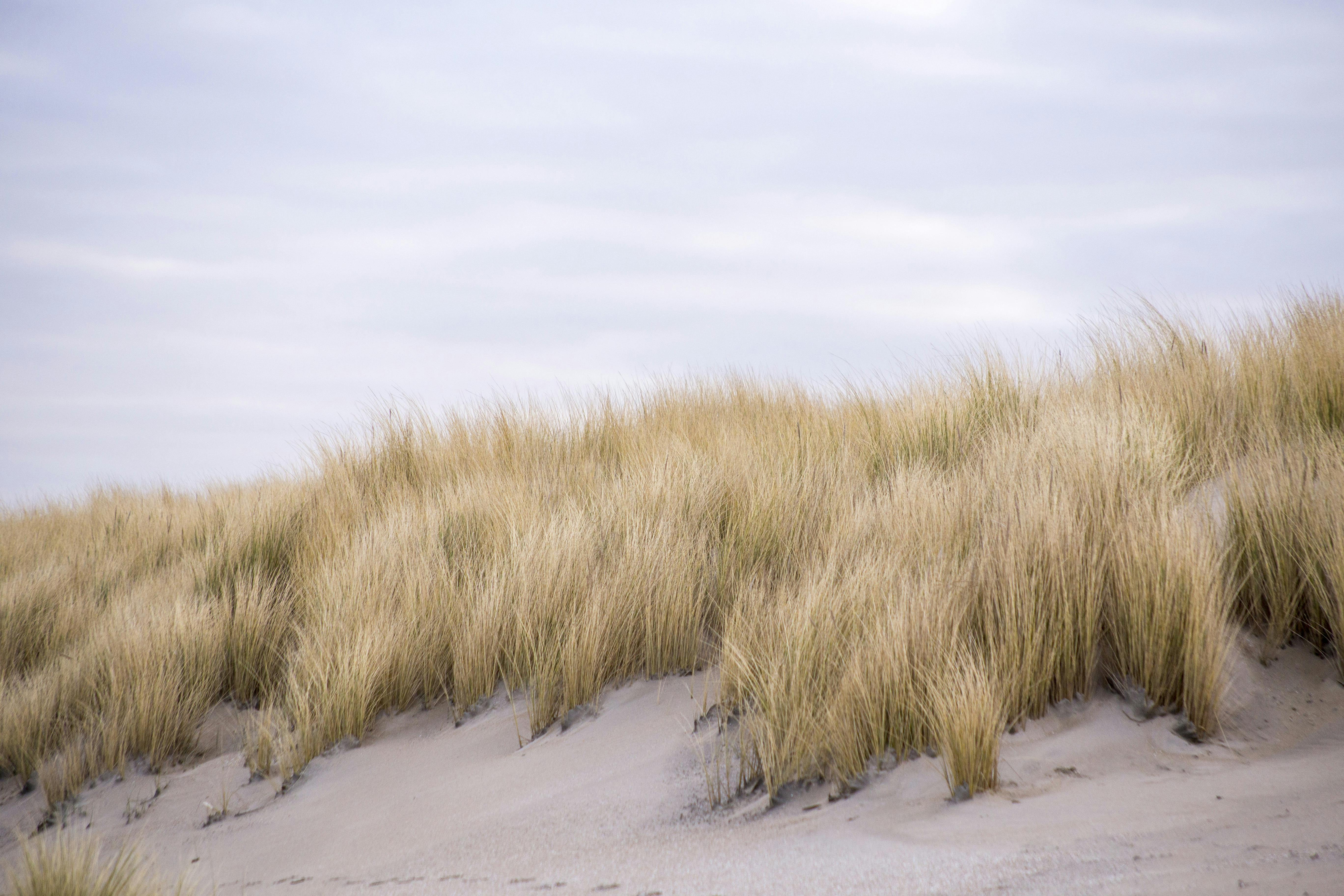 100.000+ melhores imagens de Areia Movediça · Download 100% grátis · Fotos  profissionais do Pexels