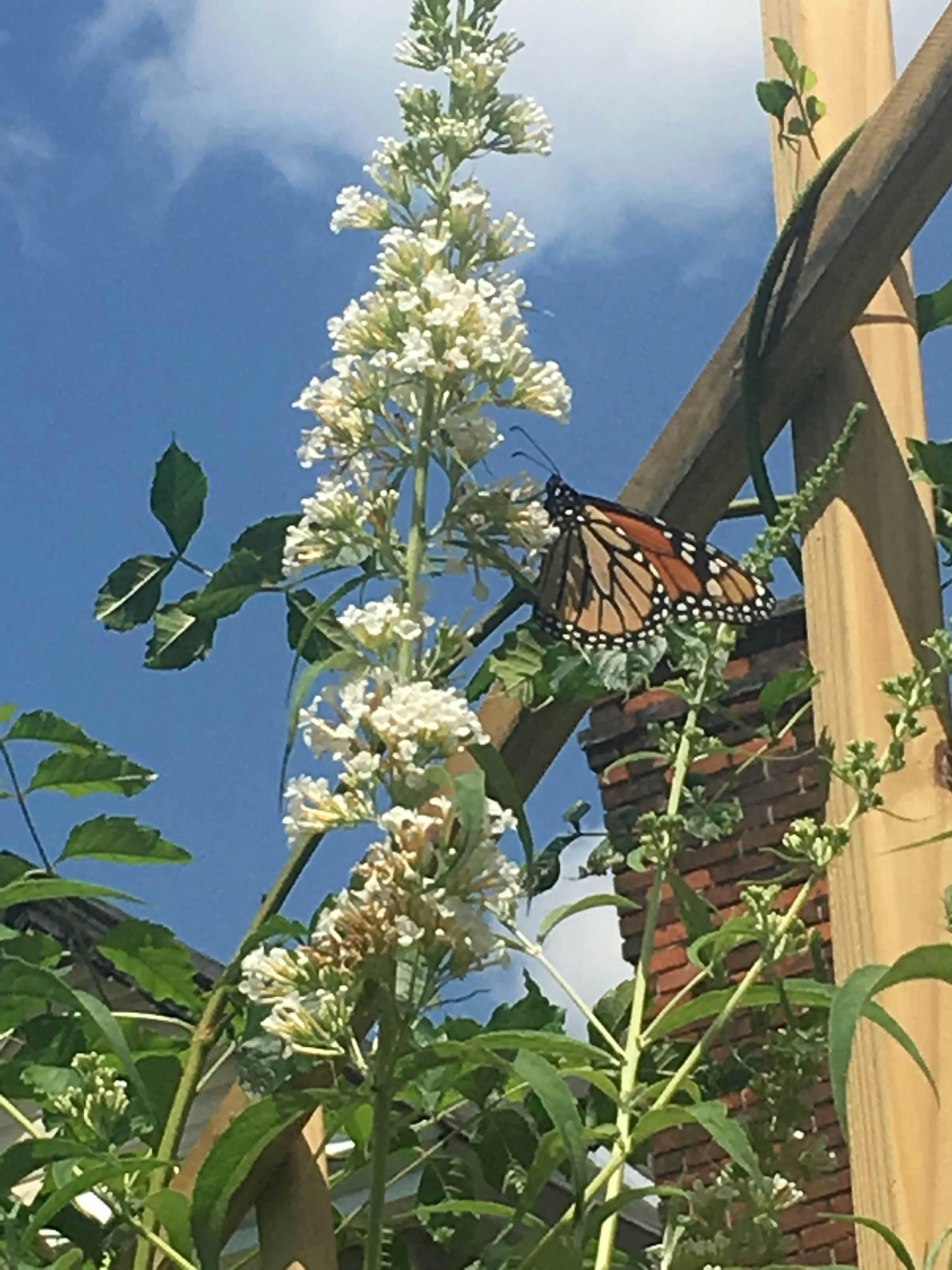 손에 들린 집 모형과 돈
