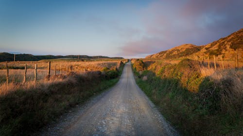 Landscape with Dirt Road in Countryside