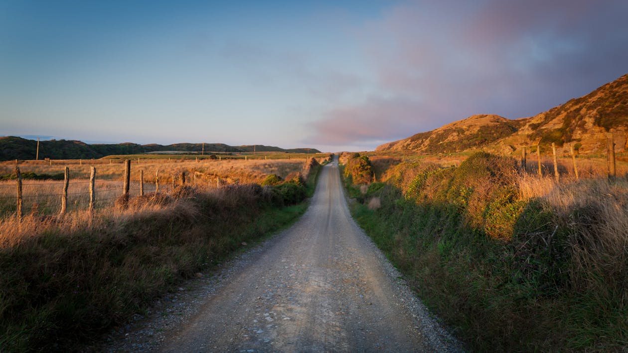 Foto d'estoc gratuïta de camí de carro, camps, carretera