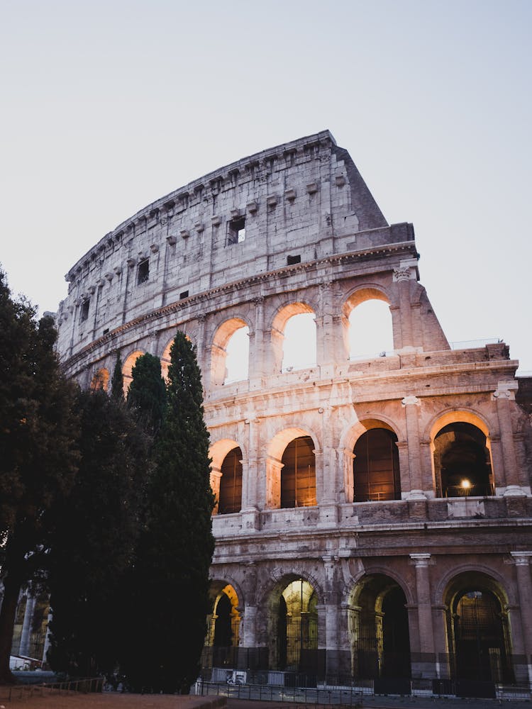 Green Trees Near The Colosseum