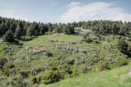 נוףיער, רבייהוידעכהן 的 免费素材图片