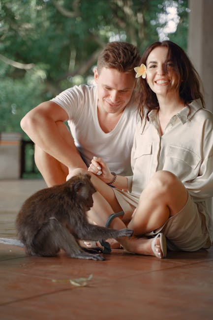Brain Break: Fun GIFs for a Midday Mental Reset