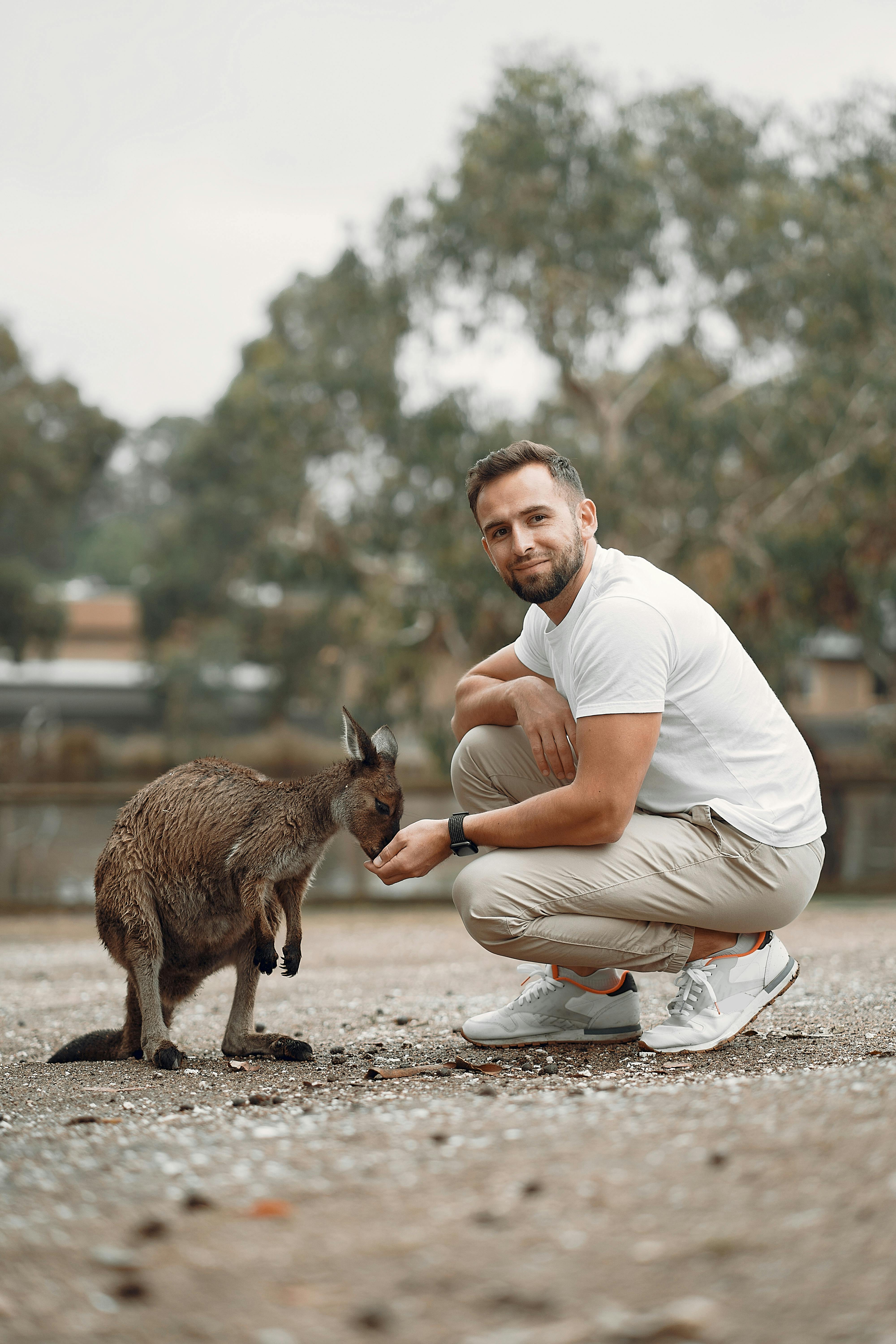 calcio francia australia