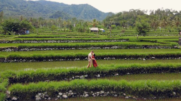 Side view full body of unrecognizable loving couple embracing each other and kissing while standing in green tropical plantation in daylight