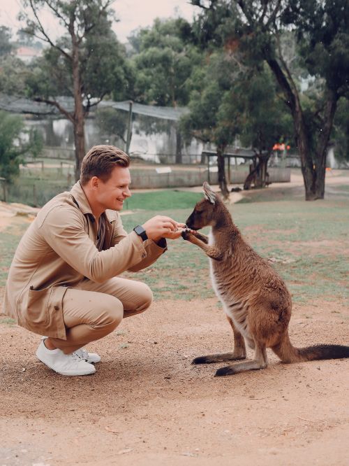 Free Side view full body of positive stylish young male in casual outfit hunkering down and feeding cute kangaroo in savanna park Stock Photo