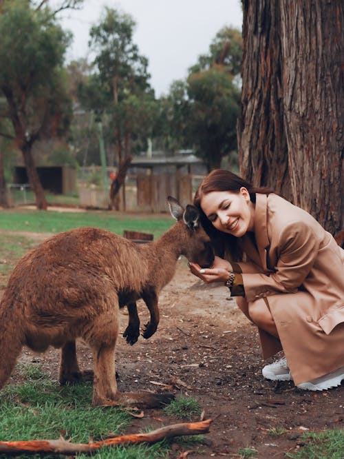 Happy young woman stroking kangaroo