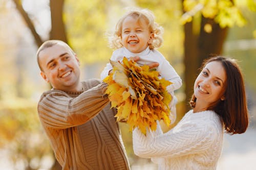 Delighted parents in warm knitted sweater holding little daughter with bunch of yellow leaves while walking together in autumn park during weekend