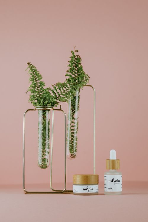 Free Stylish product setup featuring cosmetics and greenery on a peach backdrop. Stock Photo