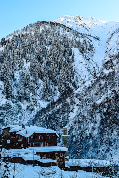 View of dark cottage next to huge mountain covered with forest and snow