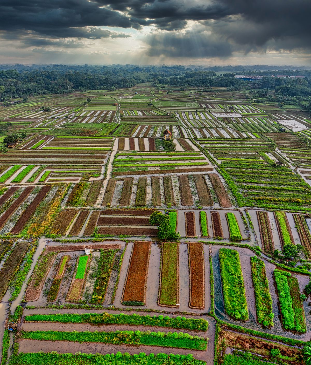 Aerial view of farmland with green fields stretching across rural land