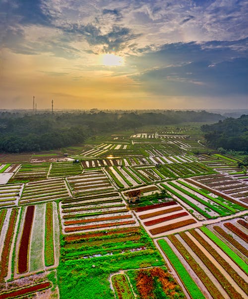An Agricultural Land in the Countryside 