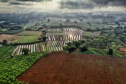 Free Stunning aerial shot of Banten's farmland showcasing diverse crop fields under a dramatic sky. Stock Photo