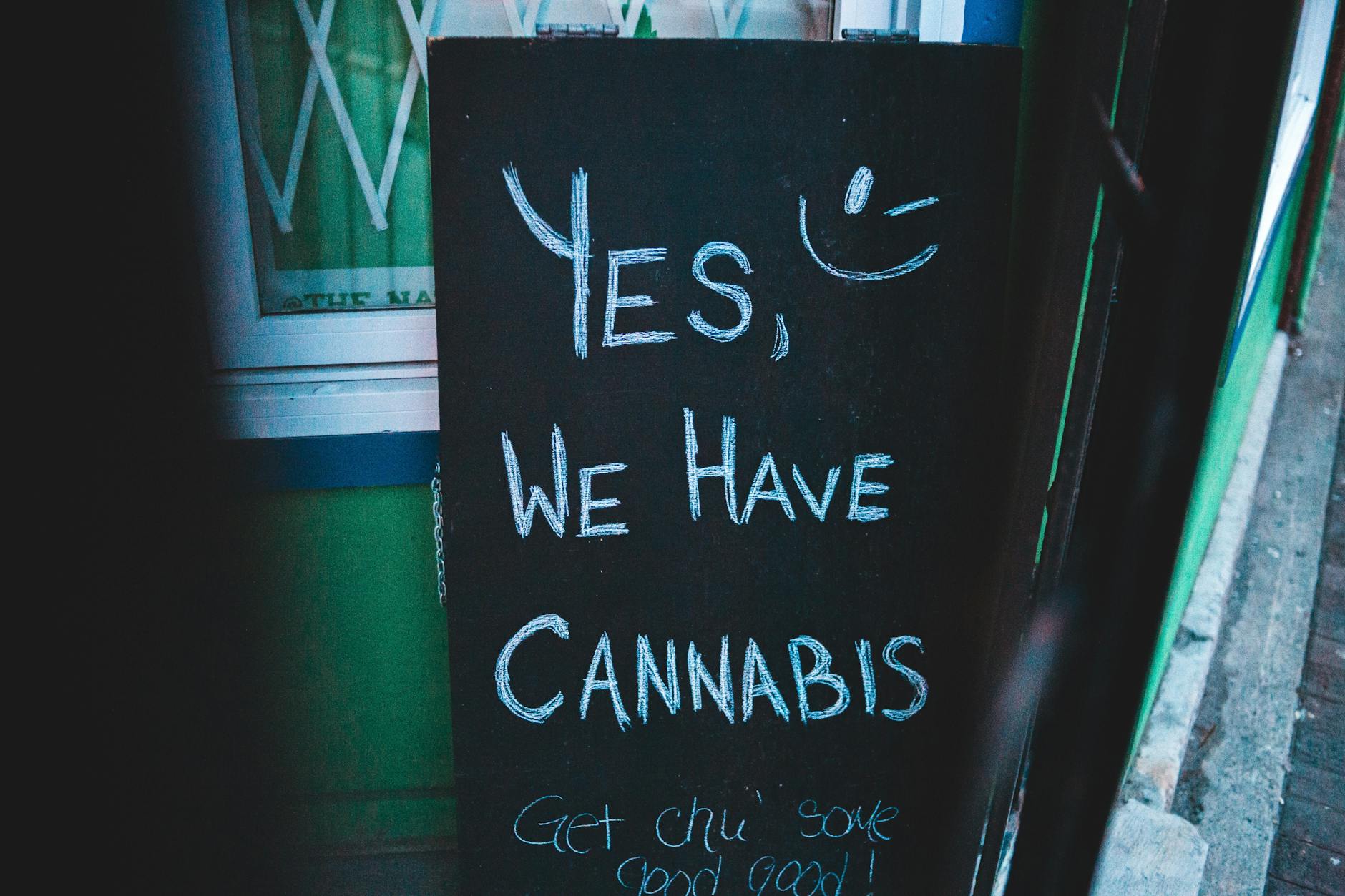 Lettering written on black chalkboard with cannabis offer near house on street of city