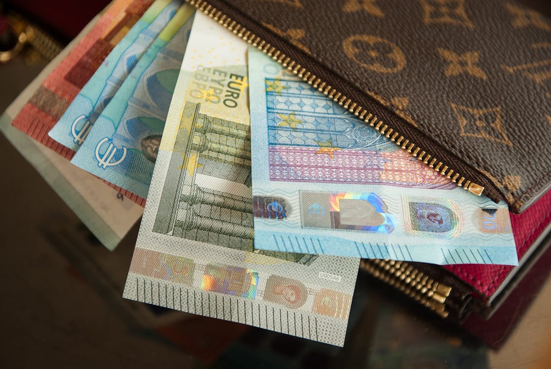 Several Euro Banknotes in Louis Vuitton Wallet