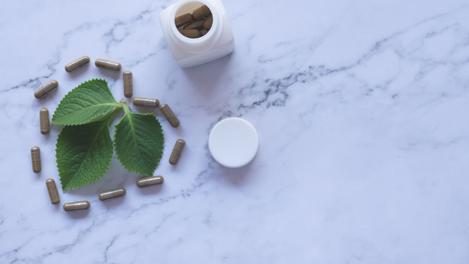 Modafinil vs Green Tea Extract: A Comprehensive Comparison Flat lay of herbal capsules, leaves, and bottle on marble surface, symbolizing natural wellness — modafinil vs green tea extract