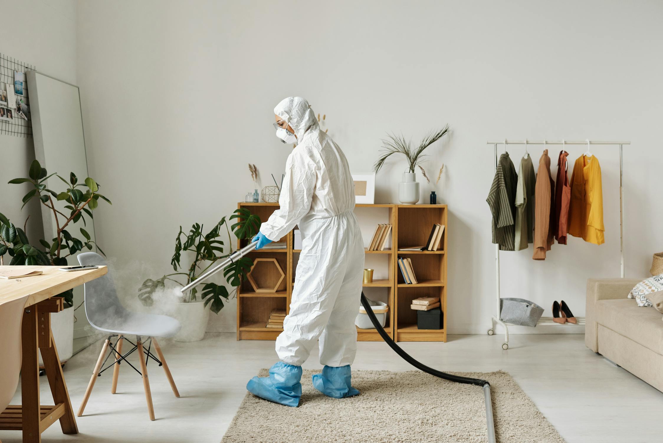 How Often Should You Deep Clean? A Complete Home & Office Plan 3 pexels photo 4176036
