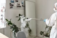 A Woman Disinfecting an Indoor Plant