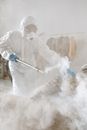 A Woman in a Protective Suit Fumigating