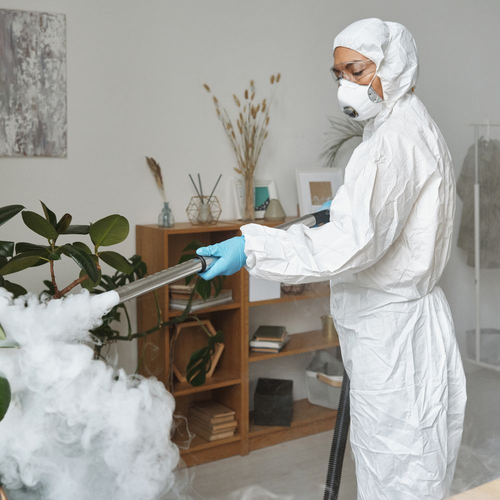 Kitchen Spraying in Woodford Wells — a freshly painted, spotless finish
