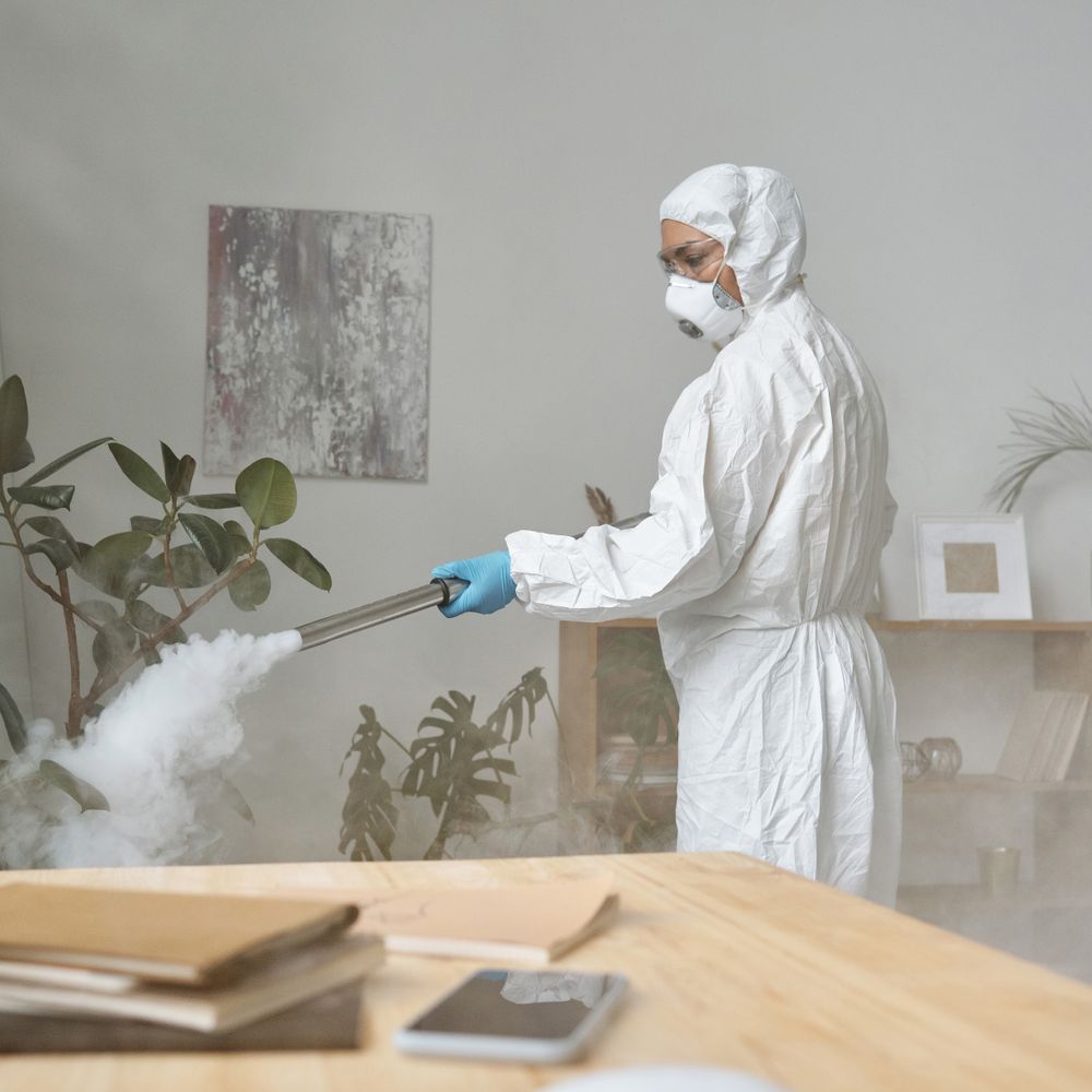 Kitchen Spraying in Bethnal Green — woodwork brushed to a crisp, smooth line