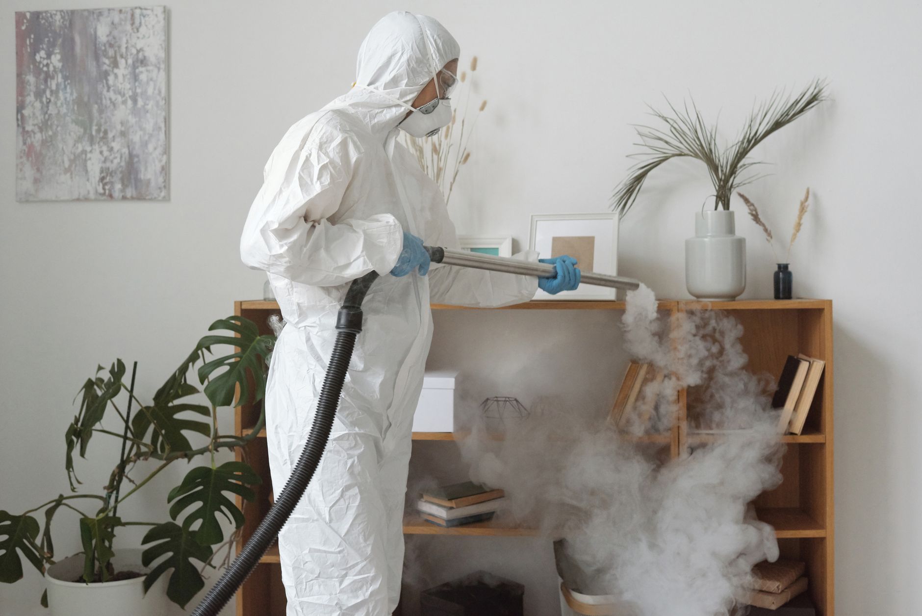 dampfreiniger Test Vergleich