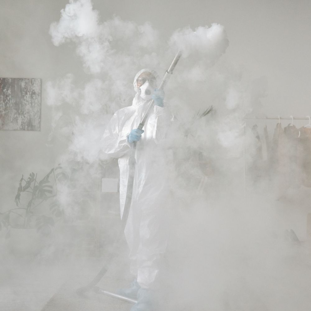 Kitchen Spraying in Archway — walls rolled to an even, flat finish