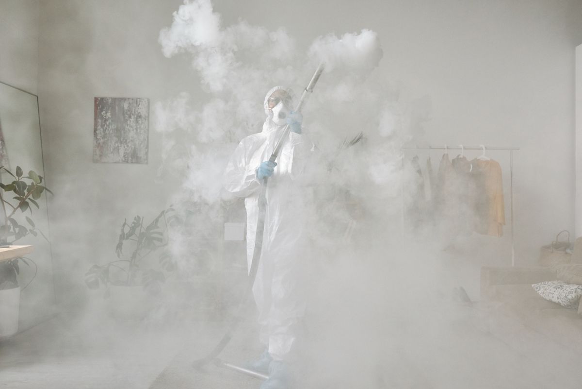 Professional residential pest control and fumigation services in Thika Kenya
