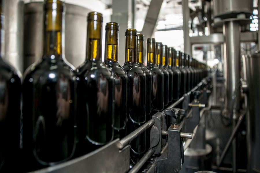 Glass bottles moving through an industrial bottling machine