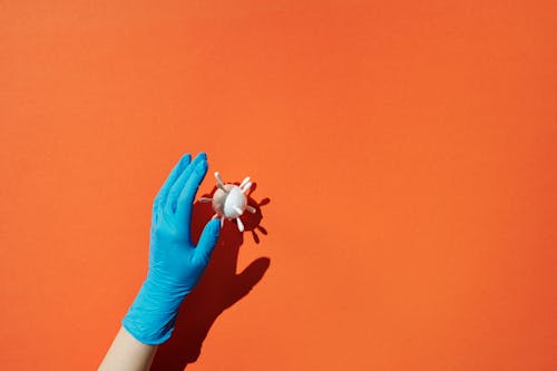 Free Hand of a Person With Gloves Near a White Ball With Spikes Stock Photo