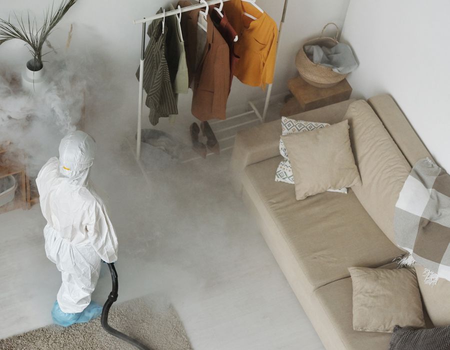 Bed Bugs Treatment