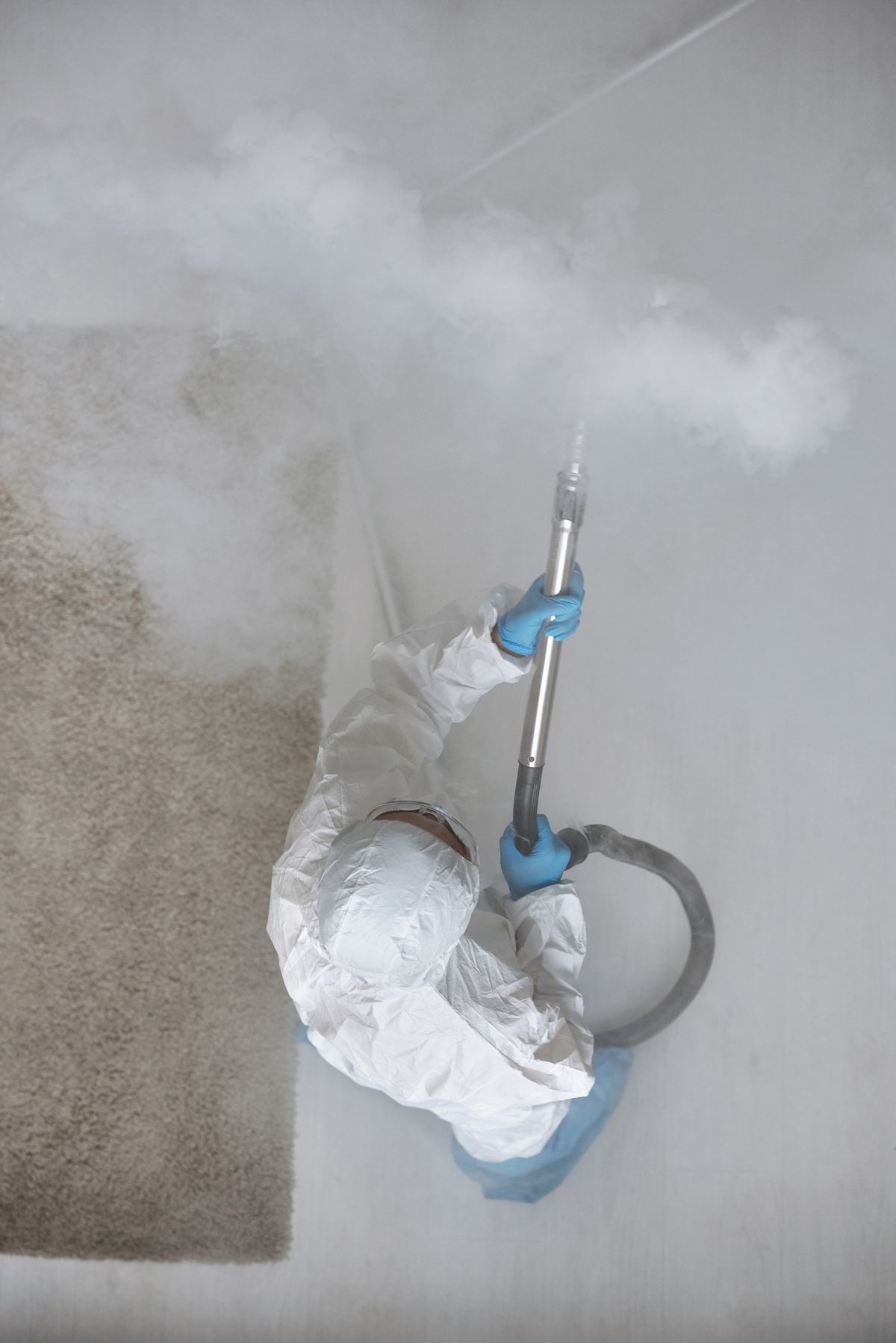 Residential and commercial pest control service in Fuengirola