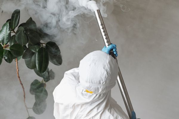 Anti-Termite Drill & Injection Treatment