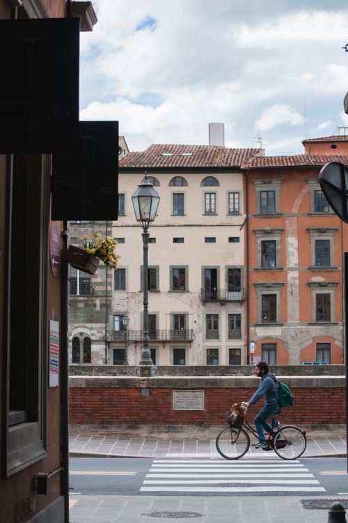 Free A man cycling across a pedestrian lane in front of historic Pisa buildings. Stock Photo
