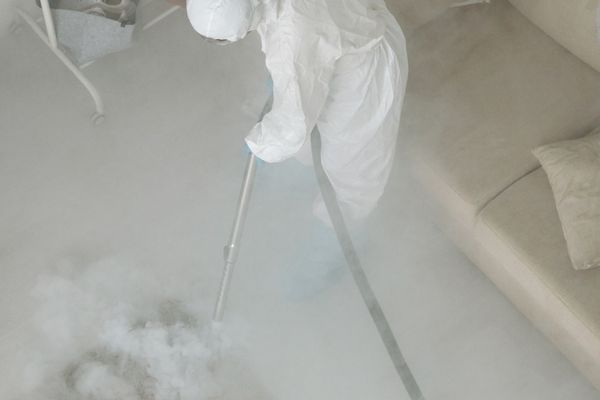 Intensive Bed Bug Treatment