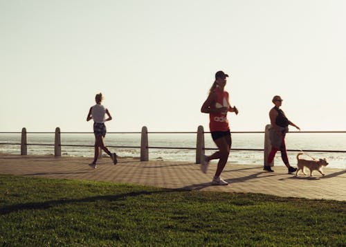 Free Active various women with dog on seafront Stock Photo