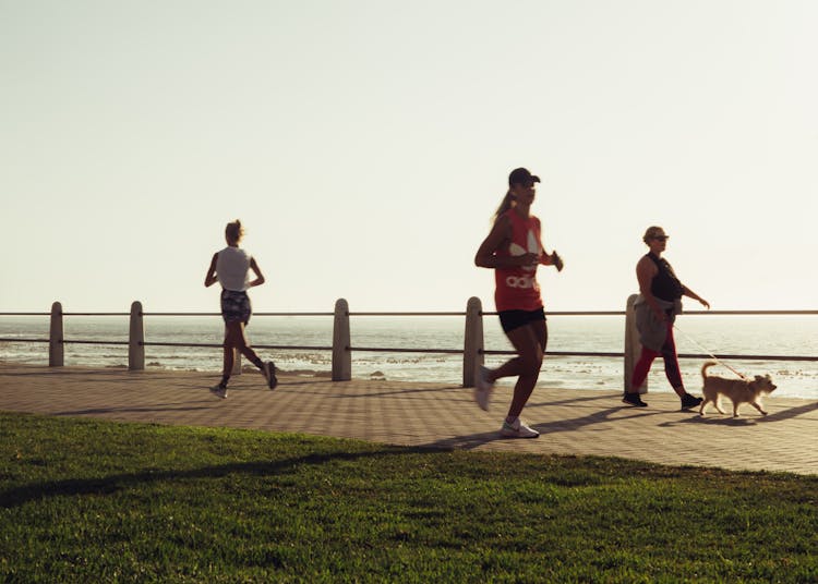 Active Various Women With Dog On Seafront